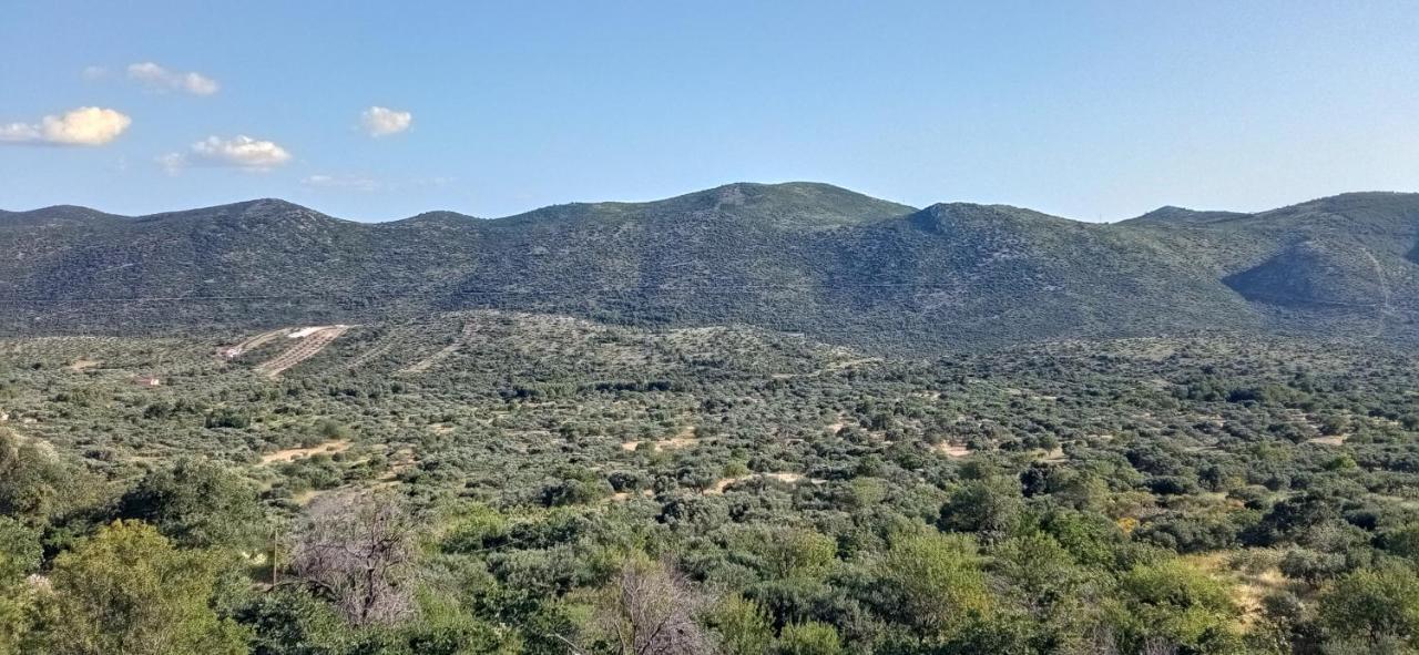 Holiday Home Peran Grebaštica المظهر الخارجي الصورة